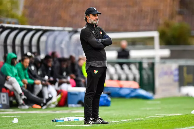 التحديات والفرص: غينيا في التجربة الرابعة مع منتخبات أفريقيا